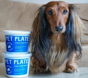 A dachsund next to Pet Plate containers