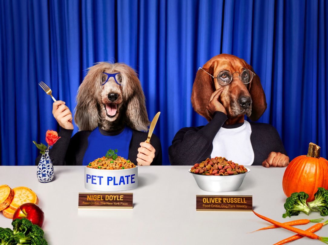 Two dogs dressed as judges comparing Pet Plate vs kibble