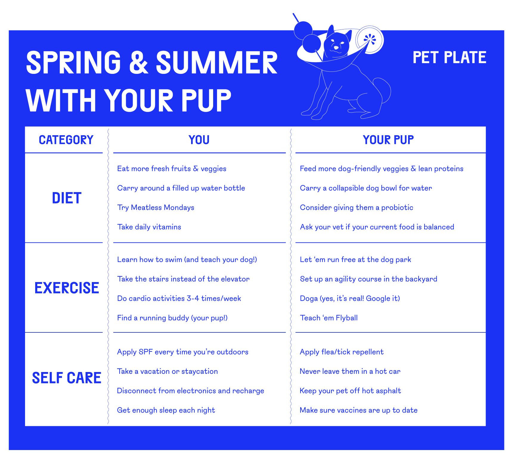 Table showing diet, exercise, and self care information for Spring & Summer with your pup