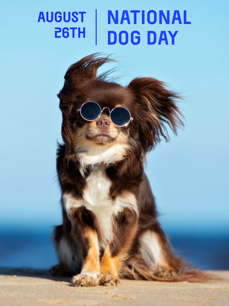 national dog day