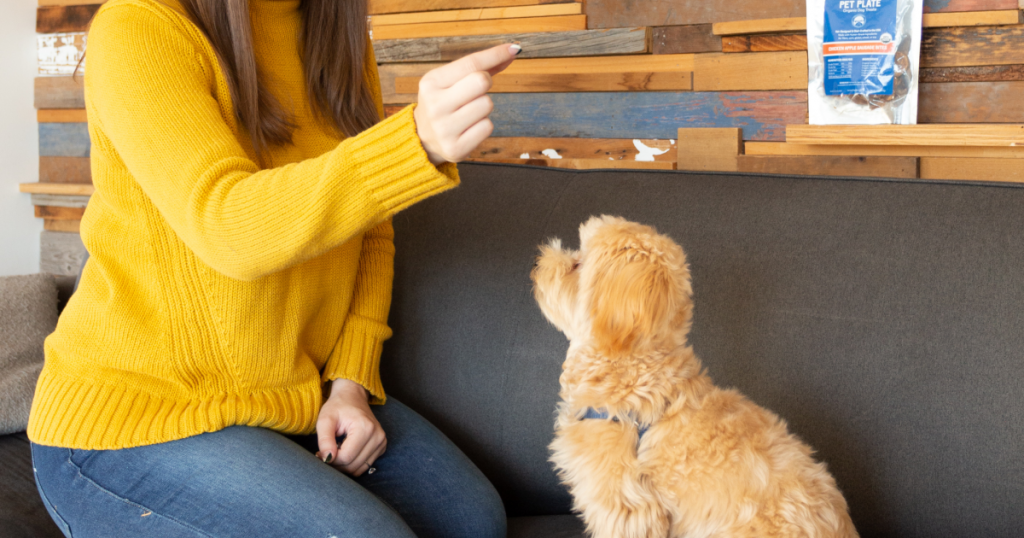 crate training Create positive associations